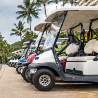 Golf Carts