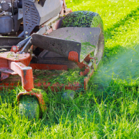 Lawn and Garden